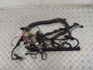 Проводка двигателя BMW 5-series (E39) 12 51 1 744 589