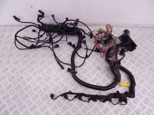Проводка двигателя BMW 5-series (E39) 12 51 2 249 419