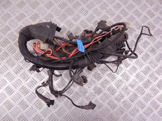 Проводка двигателя BMW 5-series (E39) 12 51 7 785 650