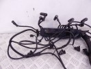 Проводка двигателя BMW 5-series (E39) 12 51 2 249 419