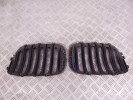 Решетка радиатора BMW X5-series (E53) 51 13 7 113 734