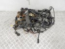 Проводка двигателя BMW X5-series (E53) 12 51 7 526 695