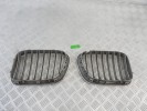 Решетка радиатора BMW X5-series (E53) 51 13 8 247 674