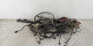 Проводка двигателя BMW X5-series (E70) 12 51 7 608 387 Проводка двигателя BMW X5-series (E70) 12 51 7 608 387