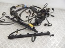 Проводка двигателя BMW 5-series (E39) 12 51 1 439 183