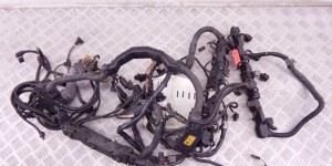 Проводка двигателя BMW 7-series (F01/02) 12 51 7 614 896 Проводка двигателя BMW 7-series (F01/02) 12 51 7 614 896