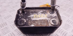 Теплообменник АКПП BMW X5-series (E53) 17 20 7 500 754