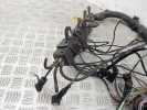 Проводка двигателя BMW 5-series (E39) 12 51 2 246 446