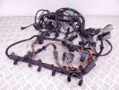 Проводка двигателя BMW X5-series (E70) 12 51 7 806 081