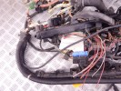 Проводка двигателя BMW 3-series (E90/91/92) 12 51 7 566 567