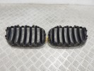 Решетка радиатора BMW X5-series (E53) 51 13 7 124 815
