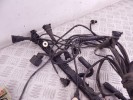 Проводка двигателя BMW 5-series (E39) 12 51 1 433 363