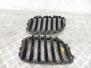 Решетка радиатора BMW X5-series (E53) 51 13 7 113 734