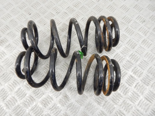 Пружина задняя BMW X6-series (E71) Пружина задняя BMW X6-series (E71)