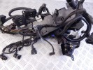 Проводка двигателя BMW 3-series (E46) 12 51 7 521 191
