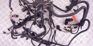 Проводка двигателя BMW X1-series (F48) 12 51 8 617 697