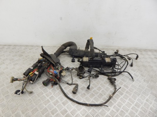 Проводка двигателя BMW 7-series (E38) 12 51 1 742 081