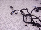 Проводка двери передней правой BMW 5-series (F10/11) 61 12 9 282 071