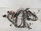Проводка двигателя BMW X5-series (E70) 12 51 7 570 407