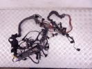 Проводка двигателя BMW 7-series (E65/66) 12 51 7 788 829
