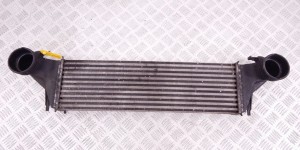 Интеркулер BMW X5-series (E53) 17 51 7 791 231