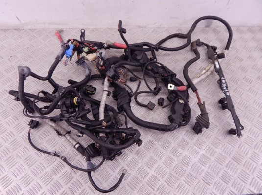 Проводка двигателя BMW 5-series (F10/11) 12 51 8 513 258