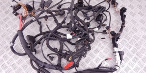 Проводка двигателя BMW 4-series (F32/33/36) 12 51 8 605 458 Проводка двигателя BMW 4-series (F32/33/36) 12 51 8 605 458