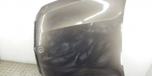 Капот BMW X5-series (E70)