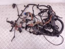 Проводка двигателя BMW X5-series (E70) 12 51 7 803 681
