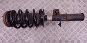 Стойка передняя левая BMW X5-series (E53) 31 33 6 750 359