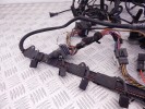 Проводка двигателя BMW X5-series (E70) 12 51 7 806 081