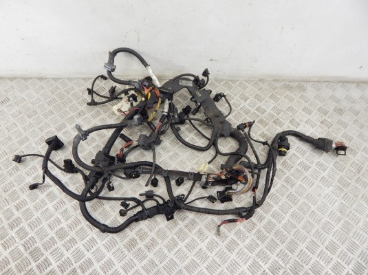 Проводка двигателя BMW 7-series (F01/02) 12 51 7 809 680