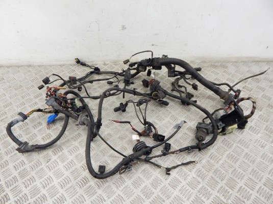 Проводка двигателя BMW 5-series (F10/11) 12 51 7 823 651