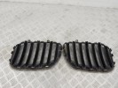 Решетка радиатора BMW X5-series (E53) 51 13 7 113 734