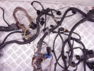 Проводка двигателя BMW 7-series (F01/02) 12 51 7 811 980