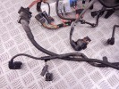 Проводка двигателя BMW X5-series (E70) 12 51 7 810 118