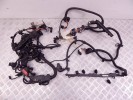 Проводка двигателя BMW 7-series (F01/02) 12 51 8 508 631