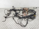 Проводка двигателя BMW X5-series (E70) 12 51 7 566 466