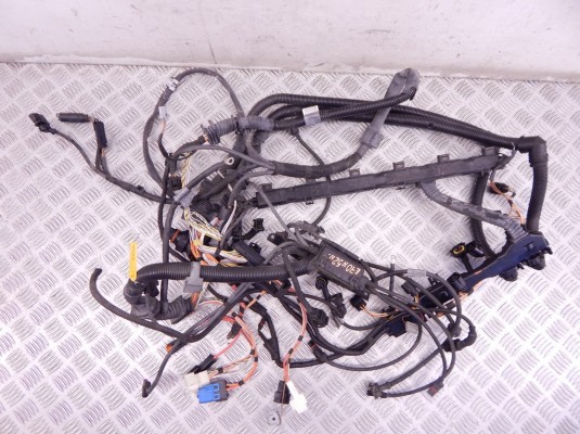 Проводка двигателя BMW X5-series (E70) 12 51 7 566 466