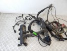 Проводка двигателя BMW X5-series (E53) 12 51 1 438 902