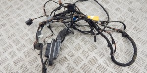 Проводка двери задней левой BMW 7-series (F01/02) 9234360 Проводка двери задней левой BMW 7-series (F01/02) 9234360