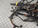 Проводка двигателя BMW 5-series (E60/61) 12 51 7 529 696
