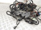 Проводка двигателя BMW 3-series (E46) 12 51 7 512 079