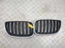 Решетка радиатора BMW X5-series (E53) 51 13 7 113 734