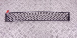 Заглушка (решетка) в бампер передний BMW 7-series (F01/02) 51 11 7 183 870 Заглушка (решетка) в бампер передний BMW 7-series (F01/02) 51 11 7 183 870