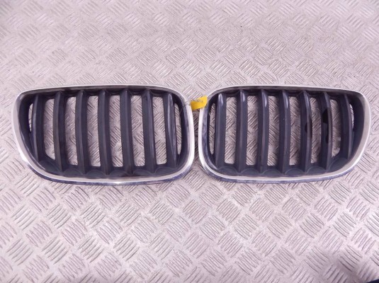 Решетка радиатора BMW X5-series (E53) 51 13 7 113 734