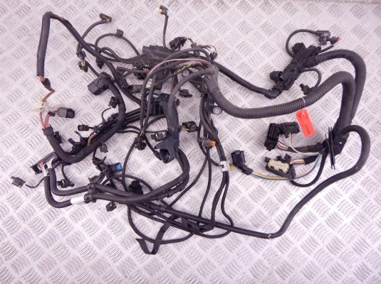 Проводка двигателя BMW X1-series (F48) 12 51 8 617 697