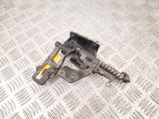 Петля крышки багажника BMW 3-series (E46) 51 24 8 254 015
