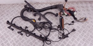 Проводка двигателя BMW 5-series (E39) 12 51 1 433 358