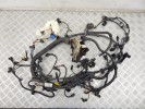 Проводка двигателя BMW 5-series (F10/11) 12 51 8 574 495